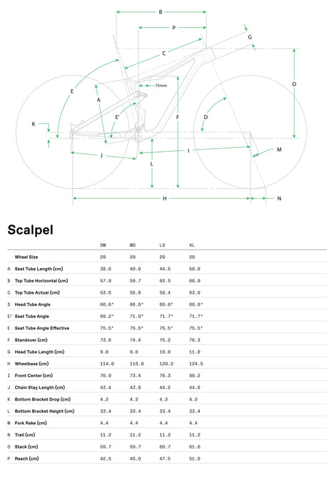 Cannondale Scalpel 4 Shimano XT 12-Speed - 2025