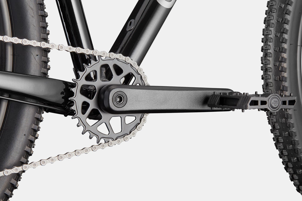 Cannondale Trail 2